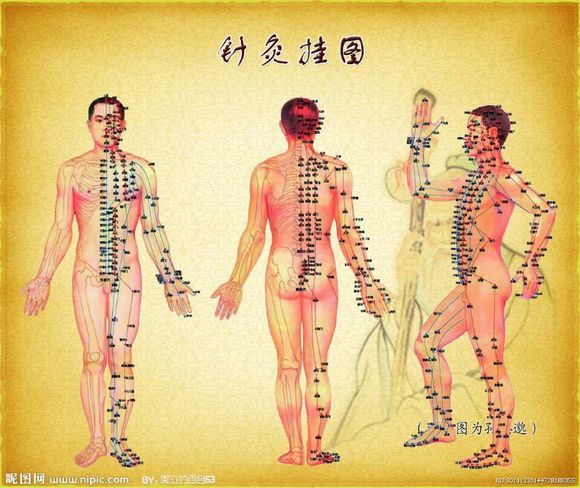 非物质文化遗产“中医针灸”项目代表性传承人