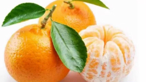 中药知识03 | 盘点橘子的药用功能