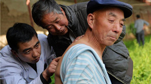 村里出了个中医研究生，回老家做起了“假期医生