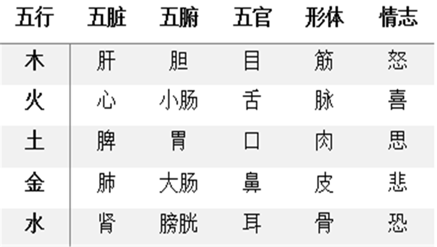 中医师承-人体内外环境的五行结构系统.png