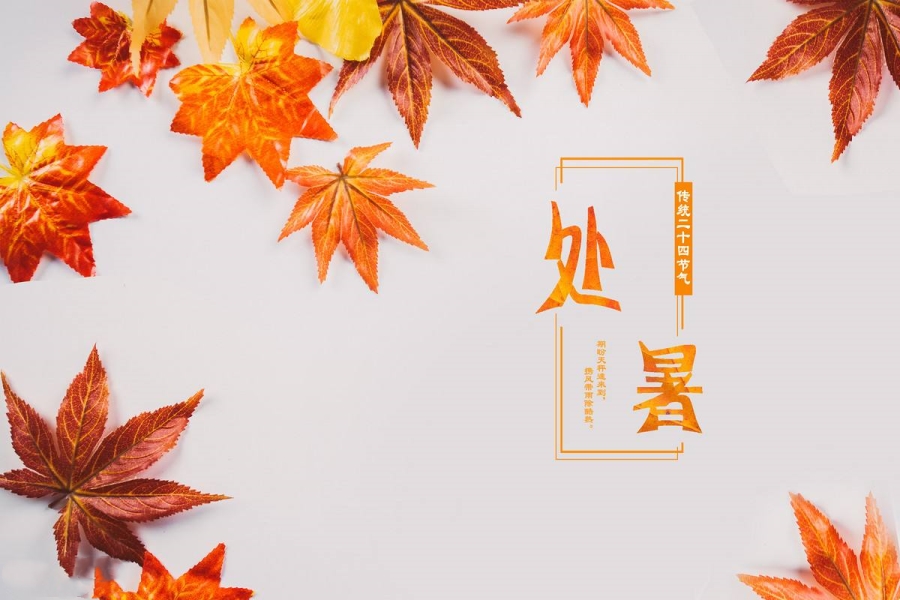 中医师承-处暑.jpg 中医师承-处暑.jpg