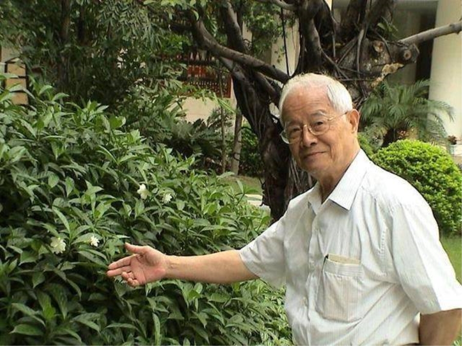 中医师承-邓铁涛先生.jpg