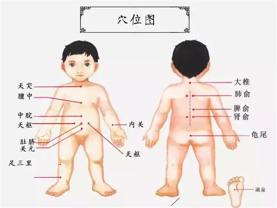 小儿贴敷穴位图.jpg