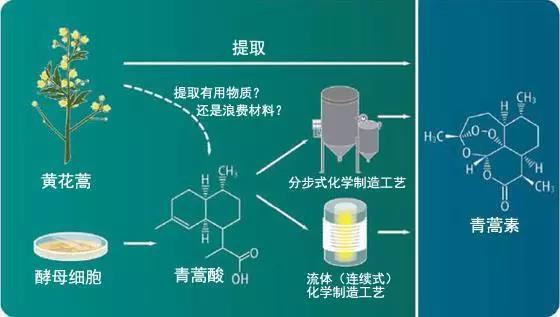 青蒿素提取流程.jpg