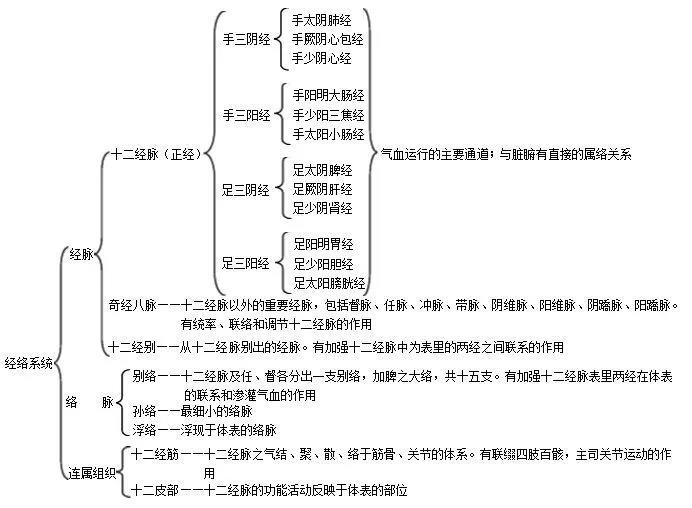 人体经络系统.jpg