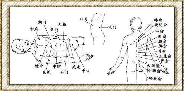 师承中心 腧募配穴.jpg